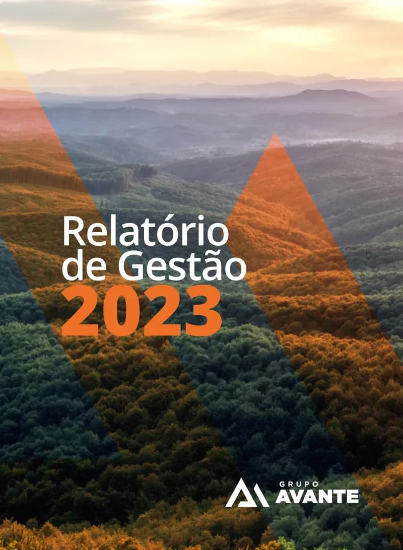 Relatório Anual 2023
