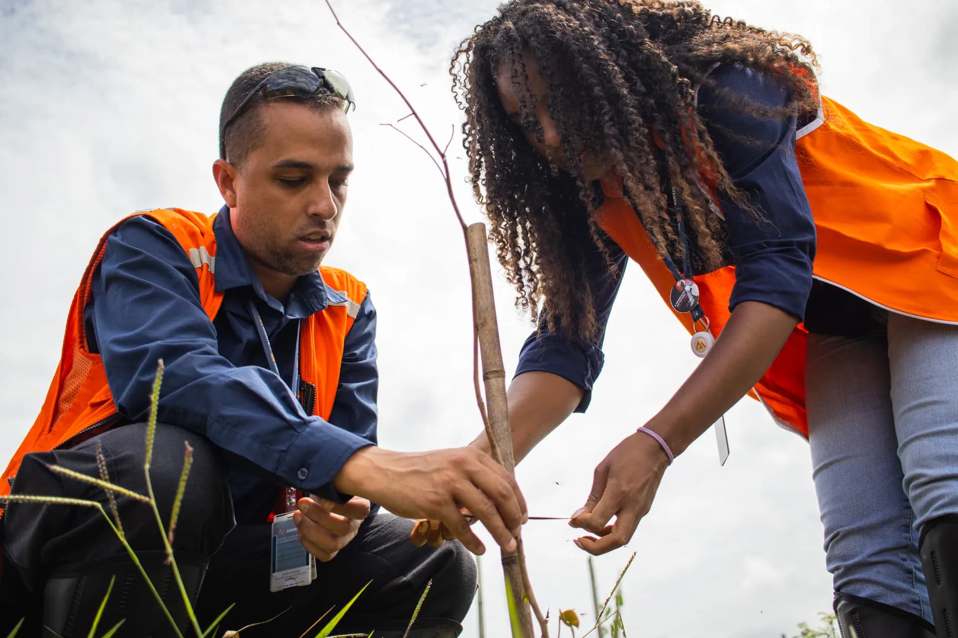 Monitorar para preservar
